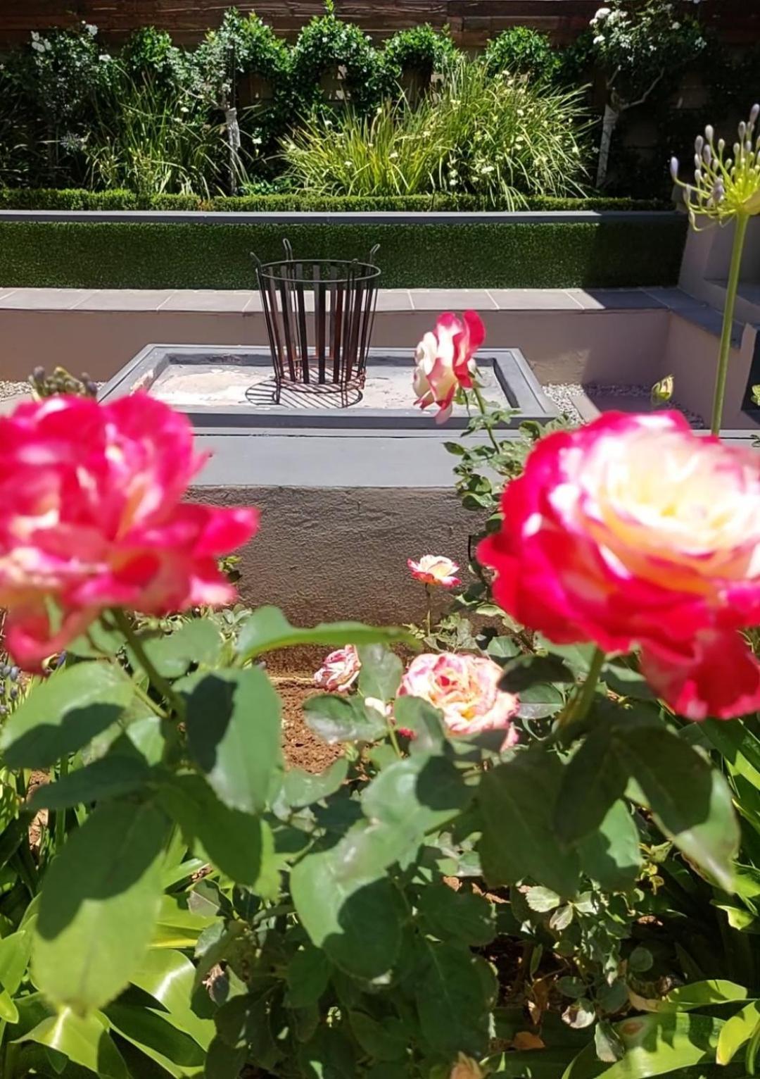 Bella Rosa Bed & Breakfast Potchefstroom Bagian luar foto