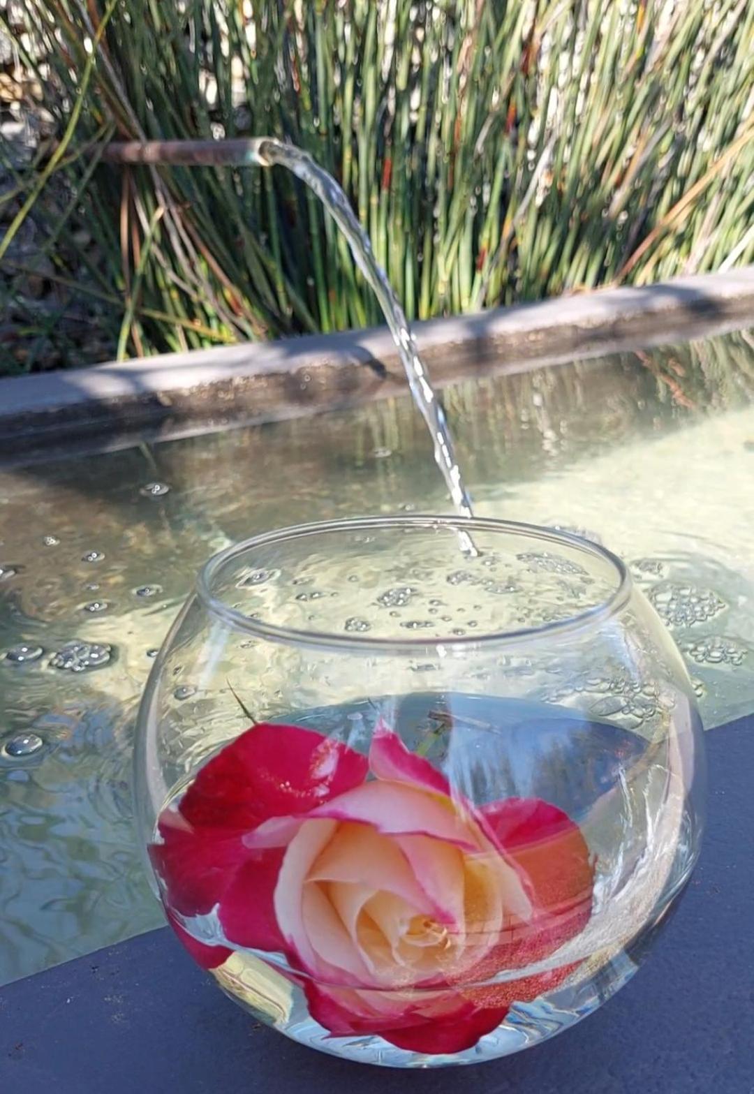 Bella Rosa Bed & Breakfast Potchefstroom Bagian luar foto